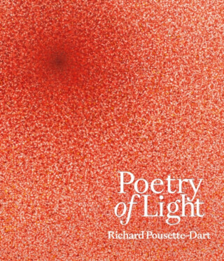 Poetry of Light - Daniel Zamani,Charles Duncan