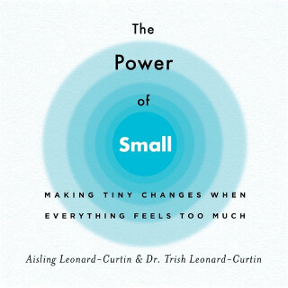 The Power of Small - Aisling Leonard-Curtin,Trish Leonard-Curtin