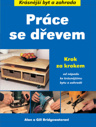 Práce se dřevem - Alan Bridgewater,Gill Bridgewater