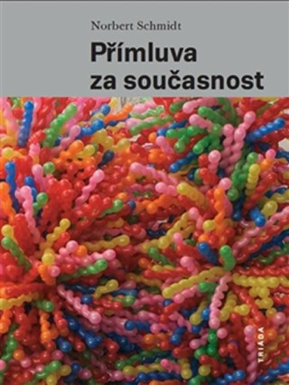 Přímluva za současnost - Norbert Schmidt