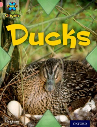 Project X Origins: Pink Book Band, Oxford Level 1+: My Family: Ducks - Alex Lane