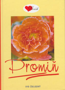Promiň - Nina Herinková