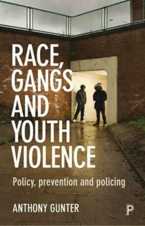 Race, Gangs and Youth Violence - Anthony  Gunter