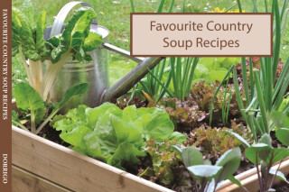 Salmon Favourite Country Soups Recipes - 