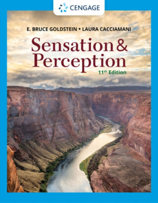 Sensation and Perception - E.  Goldstein,Laura  Cacciamani