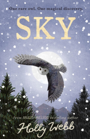 Sky - Holly Webbová
