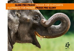 Sloni pro Prahu - Praha pro slony - Miroslav Bobek,Jana Ptačinská Jirátová
