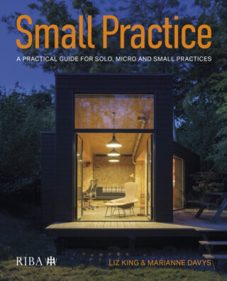 Small Practice - Liz King,Marianne Davys