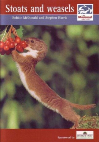 Stoats and Weasels - 