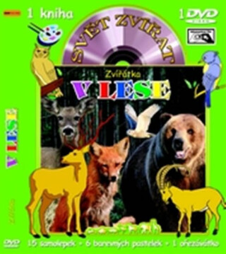 Svět zvířat - Zvířátka v lese (kniha omalovánek s DVD) - neuveden