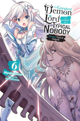 The Greatest Demon Lord Is Reborn as a Typical Nobody, Vol. 6 (light novel) - Myojin Katou,Sao Mizuno