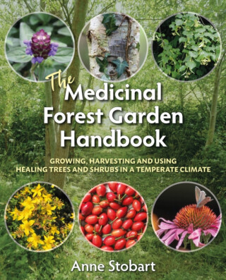 The Medicinal Forest Garden Handbook - Anne Stobart