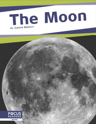 The Moon - Joanne Mattern