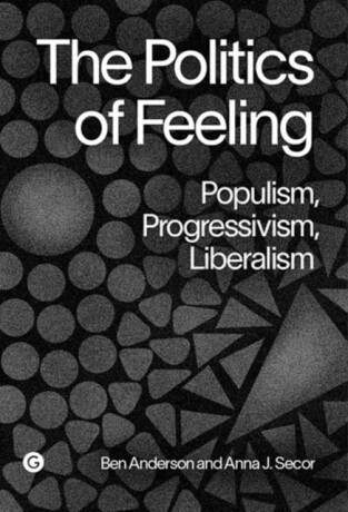The Politics of Feeling - Anna Secor,Ben Anderson