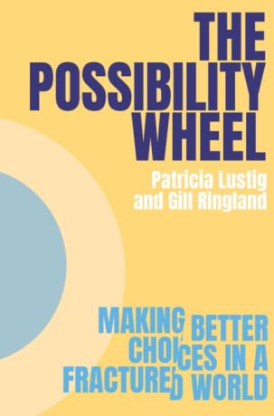 The Possibility Wheel - Gill Ringland,Patricia Lustig