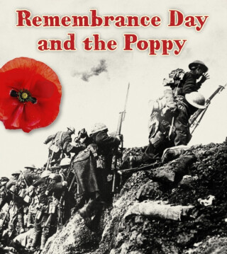The Remembrance Day and the Poppy - Helen Cox Cannons