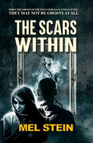 The Scars Within - Mel Stein
