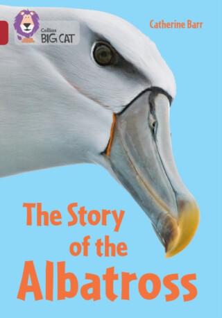 BIG CAT STORY OF ALBATROSS - Catherine Barr