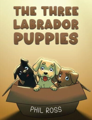 The Three Labrador Puppies - Phil Ross