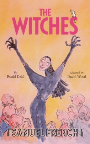 The Witches - Roald Dahl,David Wood