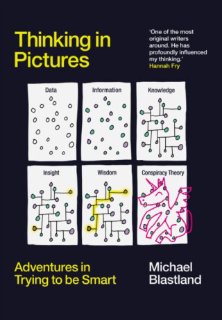 Thinking in Pictures - Michael Blastland