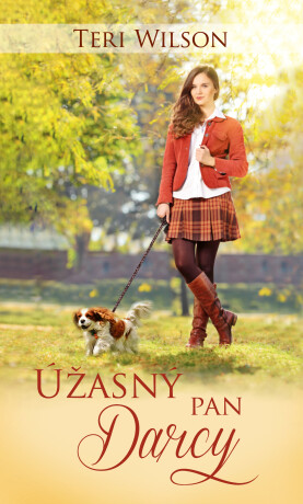 Úžasný pan Darcy - Teri Wilson