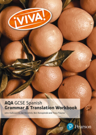 Viva! AQA GCSE Spanish Grammar and Translation Workbook - Traynor Tracy,Ian Kendrick,John Halksworth,Ben Konopinski