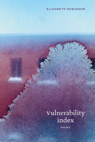 Vulnerability Index - Elizabeth Robinson