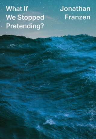 WHAT IF WE STOPPED PRETENDI HB - Jonathan Franzen