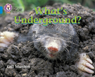 Whatâ€™s Underground - Gill Munton
