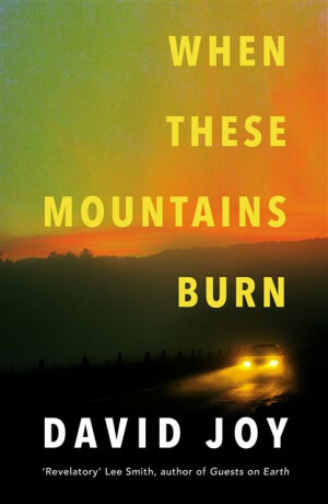 When These Mountains Burn - David Joy