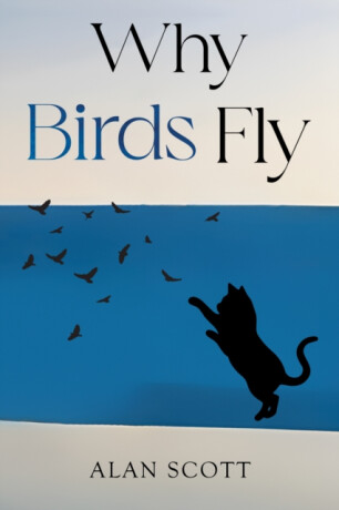 Why Birds Fly - Alan Scott