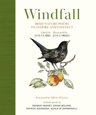 Windfall - Jane Clarkeová