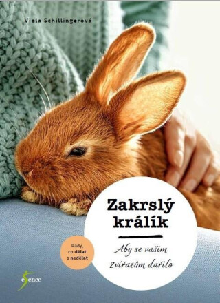 Zakrslý králík - Viola Schillinger