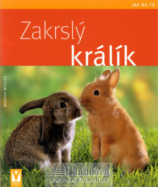 Zakrslý králík - Monika Weglerová
