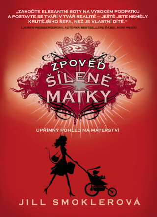 Zpověď šílené matky - Jill Smoklerová