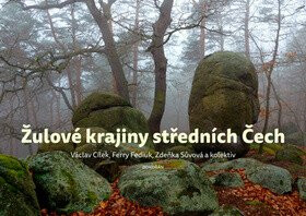 Žulové krajiny středních Čech - Václav Cílek,Ferry Fediuk,Zdenka Sůvová