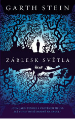 Záblesk světla