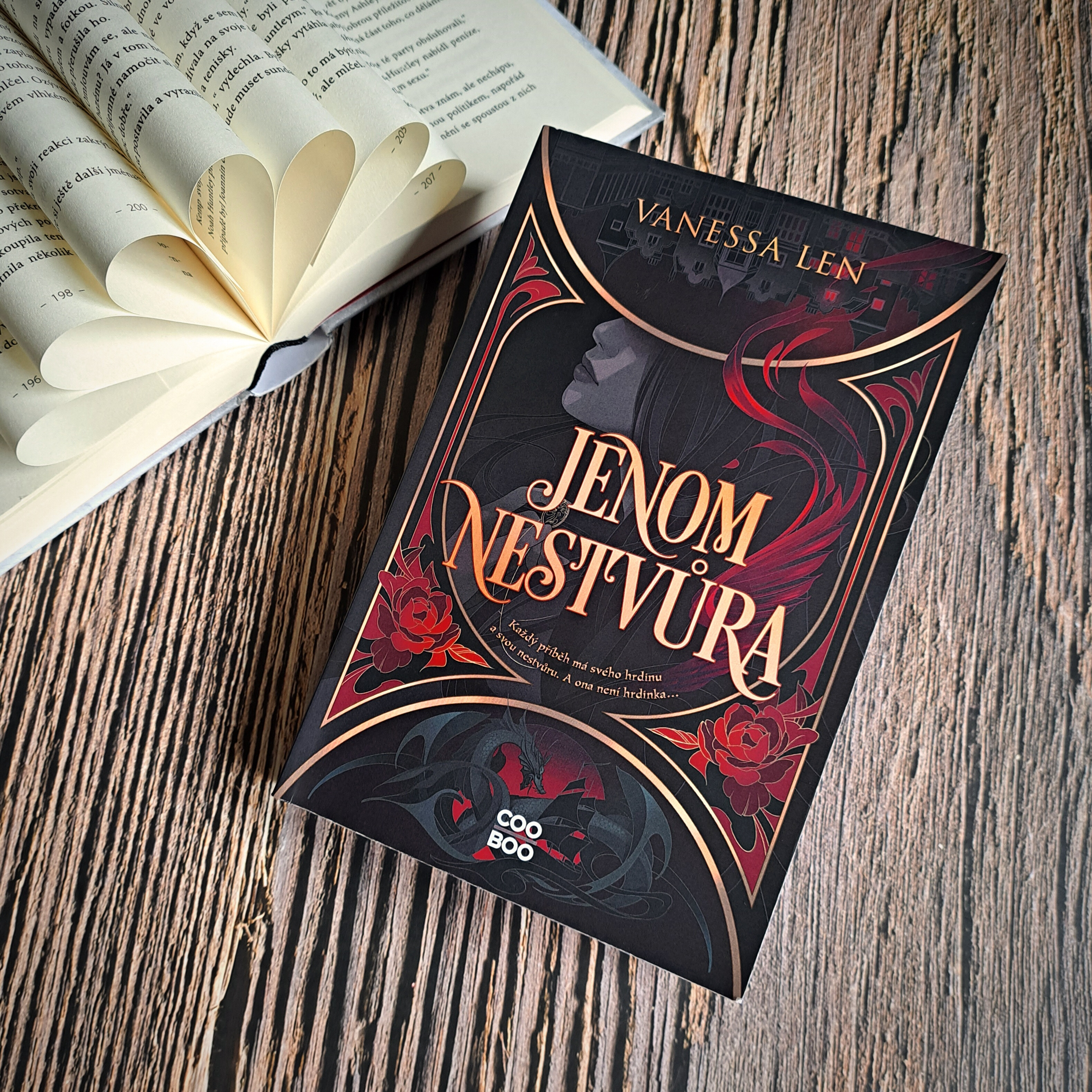Jenom nestvůra-recenze